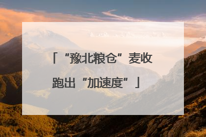 “豫北粮仓”麦收跑出“加速度”