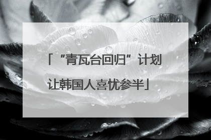 “青瓦台回归”计划让韩国人喜忧参半
