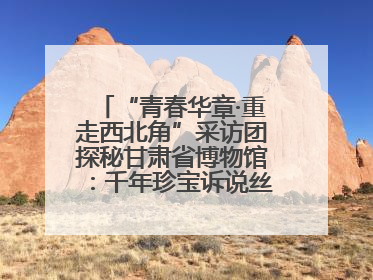 “青春华章·重走西北角”采访团探秘甘肃省博物馆：千年珍宝诉说丝路辉煌