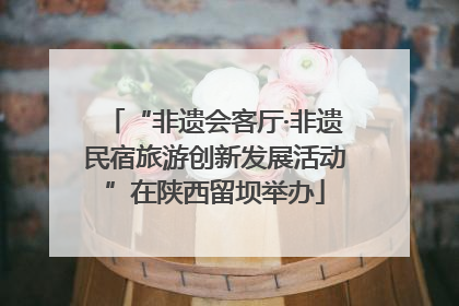 “非遗会客厅·非遗民宿旅游创新发展活动”在陕西留坝举办