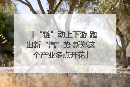 “链”动上下游 跑出新“汽”势 新郑这个产业多点开花