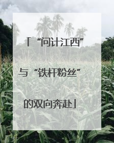 “问计江西”与“铁杆粉丝”的双向奔赴