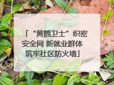 “黄鹤卫士”织密安全网 新就业群体筑牢社区防火墙