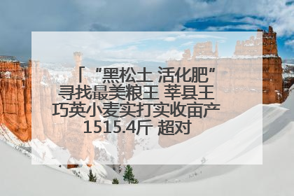 “黑松土 活化肥”寻找最美粮王 莘县王巧英小麦实打实收亩产1515.4斤 超对照田144斤！