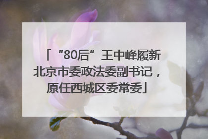 “80后”王中峰履新北京市委政法委副书记，原任西城区委常委