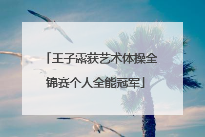 王子露获艺术体操全锦赛个人全能冠军