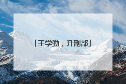 王学勤，升副部