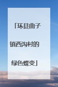 环县曲子镇西沟村的绿色蝶变