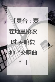 灵台：麦茬地里抢农时 奏响复种“交响曲”