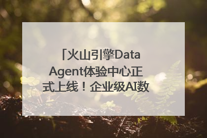 火山引擎Data Agent体验中心正式上线！企业级AI数据专家触手可及