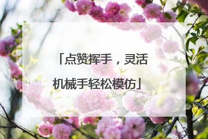 点赞挥手，灵活机械手轻松模仿