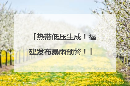 热带低压生成！福建发布暴雨预警！