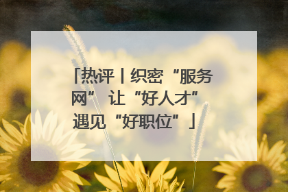 热评丨织密“服务网” 让“好人才”遇见“好职位”