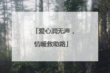 爱心润无声，情暖救助路