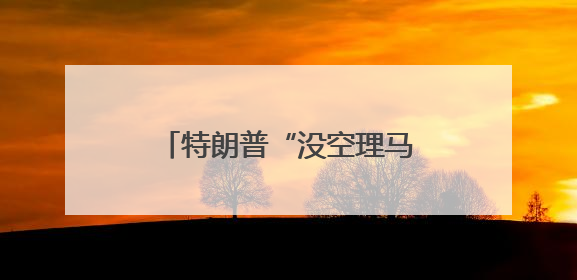 特朗普“没空理马斯克” 打算把两人的“信物”卖了