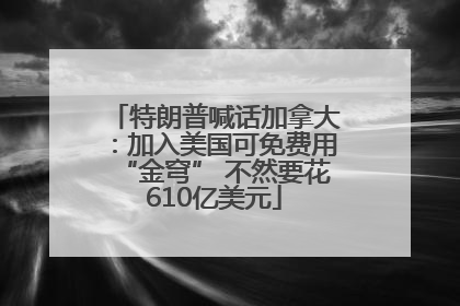 特朗普喊话加拿大：加入美国可免费用“金穹” 不然要花610亿美元