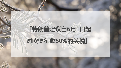特朗普建议自6月1日起对欧盟征收50%的关税