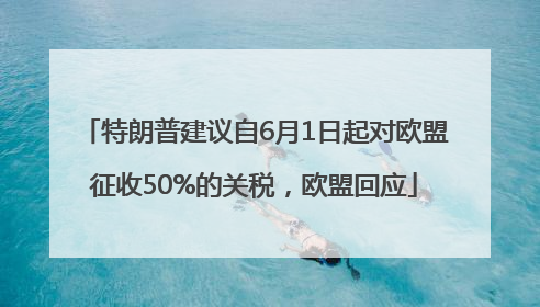 特朗普建议自6月1日起对欧盟征收50%的关税，欧盟回应