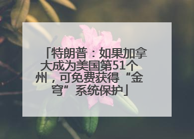 特朗普：如果加拿大成为美国第51个州，可免费获得“金穹”系统保护