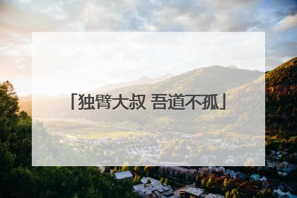 独臂大叔 吾道不孤