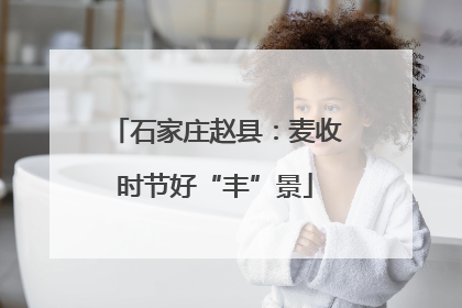 石家庄赵县：麦收时节好“丰”景