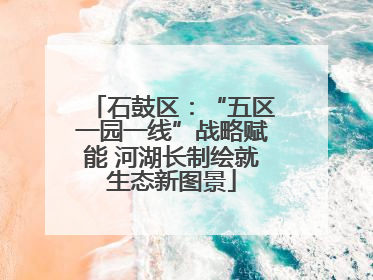 石鼓区：“五区一园一线”战略赋能 河湖长制绘就生态新图景
