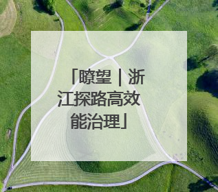 瞭望｜浙江探路高效能治理