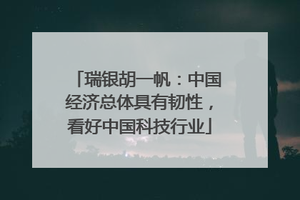 瑞银胡一帆：中国经济总体具有韧性，看好中国科技行业