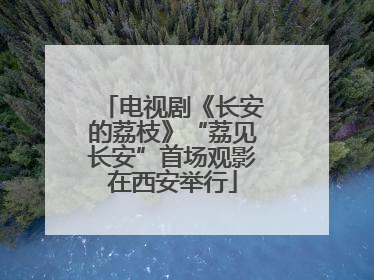 电视剧《长安的荔枝》“荔见长安”首场观影在西安举行