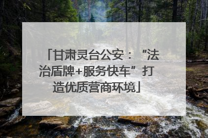 甘肃灵台公安：“法治盾牌+服务快车”打造优质营商环境