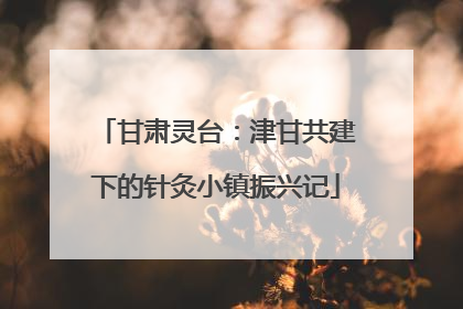 甘肃灵台：津甘共建下的针灸小镇振兴记