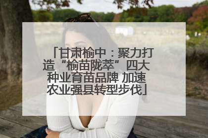 甘肃榆中：聚力打造“榆苗陇萃”四大种业育苗品牌 加速农业强县转型步伐