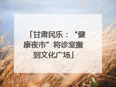 甘肃民乐：“健康夜市”将诊室搬到文化广场