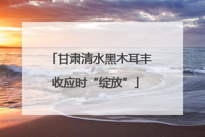 甘肃清水黑木耳丰收应时“绽放”