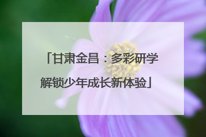 甘肃金昌：多彩研学解锁少年成长新体验