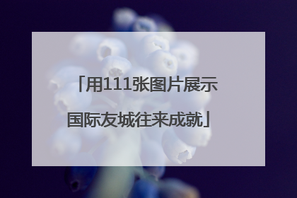 用111张图片展示国际友城往来成就