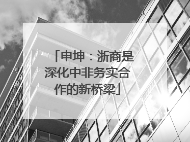 申坤：浙商是深化中非务实合作的新桥梁