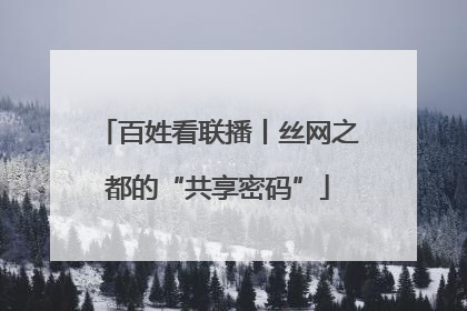 百姓看联播丨丝网之都的“共享密码”