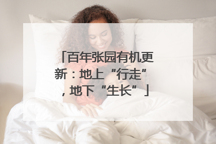 百年张园有机更新：地上“行走”，地下“生长”