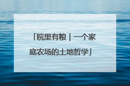 皖里有粮｜一个家庭农场的土地哲学