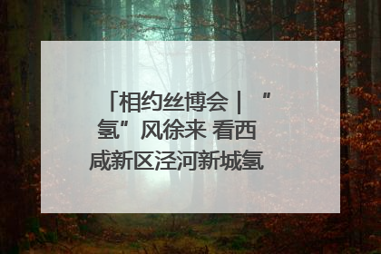 相约丝博会｜“氢”风徐来 看西咸新区泾河新城氢能产业聚链成势