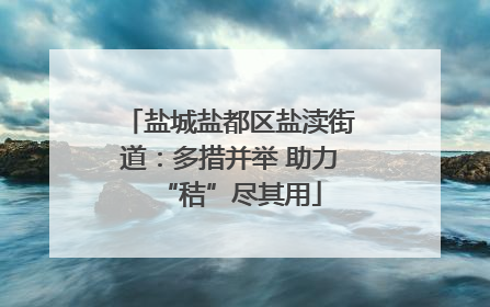 盐城盐都区盐渎街道：多措并举 助力“秸”尽其用