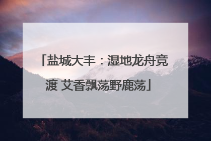 盐城大丰：湿地龙舟竞渡 艾香飘荡野鹿荡