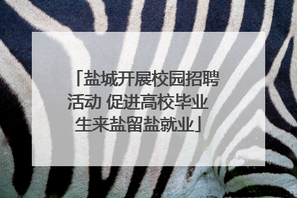 盐城开展校园招聘活动 促进高校毕业生来盐留盐就业