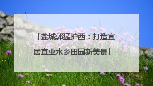 盐城郭猛护西：打造宜居宜业水乡田园新美景