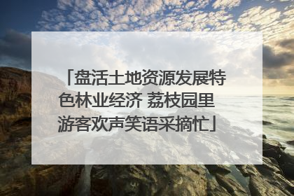 盘活土地资源发展特色林业经济 荔枝园里游客欢声笑语采摘忙