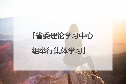 省委理论学习中心组举行集体学习