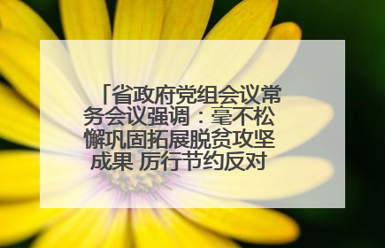 省政府党组会议常务会议强调：毫不松懈巩固拓展脱贫攻坚成果 厉行节约反对浪费弘扬优良作风