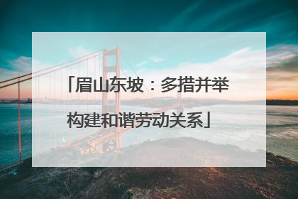 眉山东坡：多措并举构建和谐劳动关系