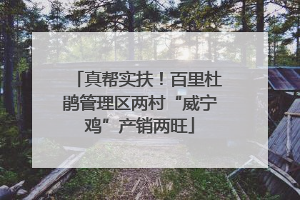 真帮实扶！百里杜鹃管理区两村“威宁鸡”产销两旺